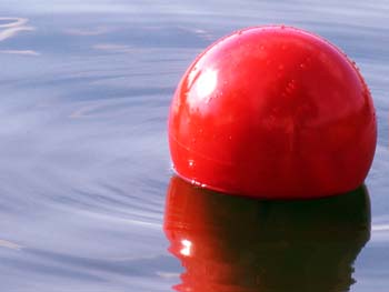 Ball